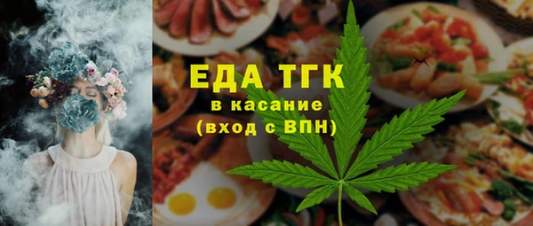индика Новочеркасск