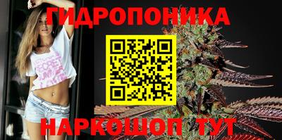гашиш Камышлов
