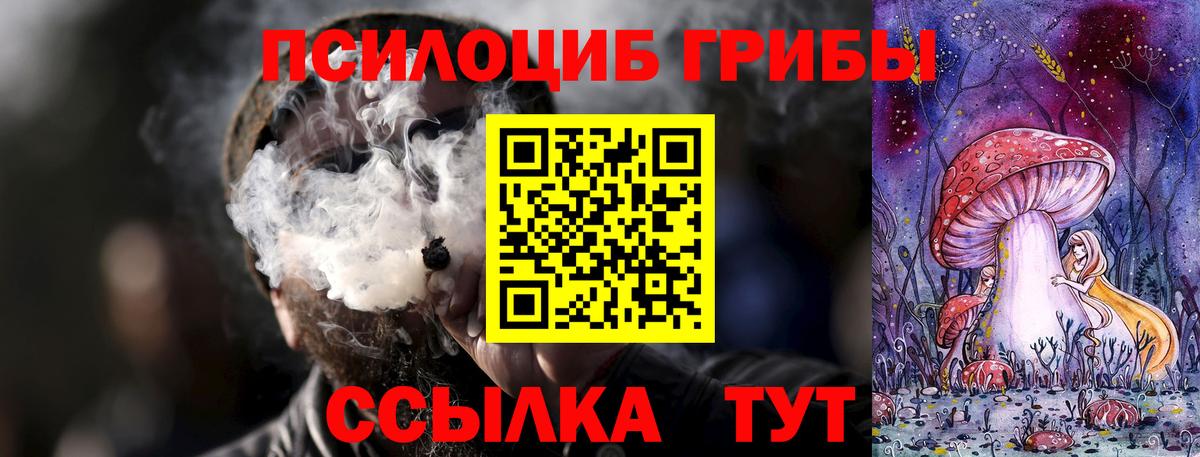 Псилоцибиновые грибы мицелий  Кушва 