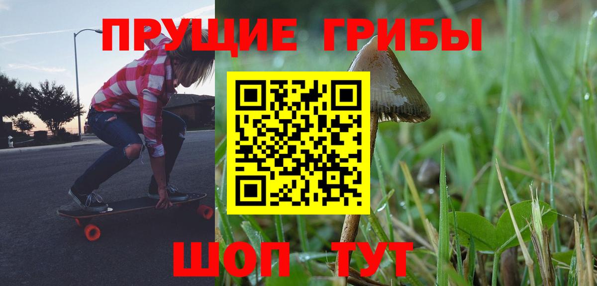 Псилоцибиновые грибы Psilocybine cubensis  Псилоцибиновые грибы ЛСД  Кушва  Вход с VPN 