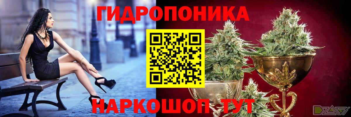 Бошки Шишки семена Кушва